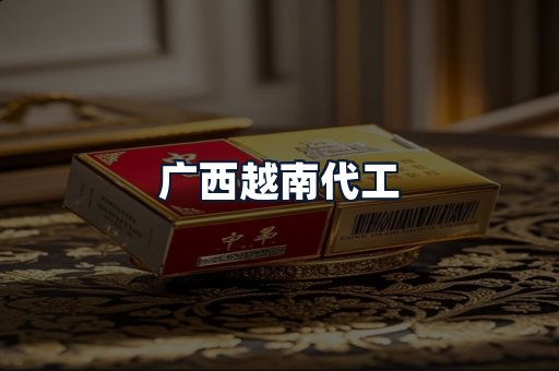 广西越南代工